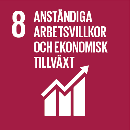 Goal 8 - Decent working conditions and economic growth