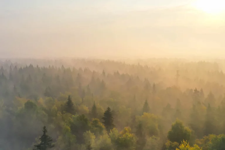 Bild som symboliserar Facility Service på MIAB.